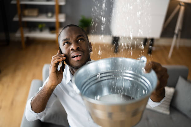 Best Local water damage restoration  in Sistersville, WV