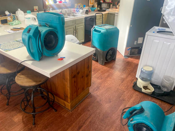Best Water damage restoration near me  in Sistersville, WV