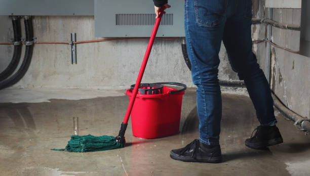 Best Water damage restoration near me  in Sistersville, WV