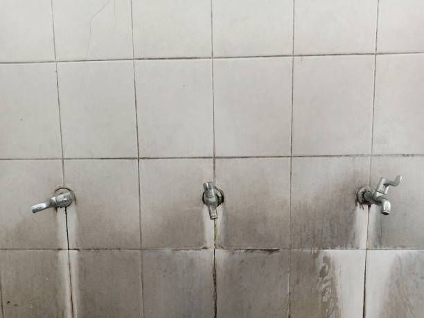Best Water damage restoration near me  in Sistersville, WV