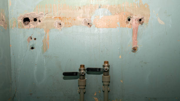 Best Water damage restoration near me  in Sistersville, WV