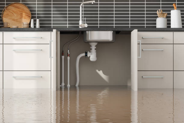 Best Emergency water damage restoration  in Sistersville, WV