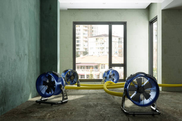 Best Water damage repair service  in Sistersville, WV